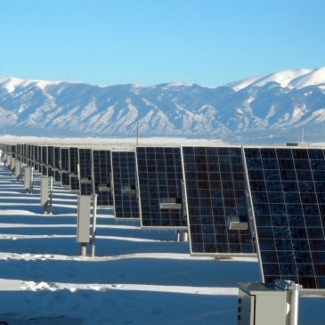 solar panel ownership