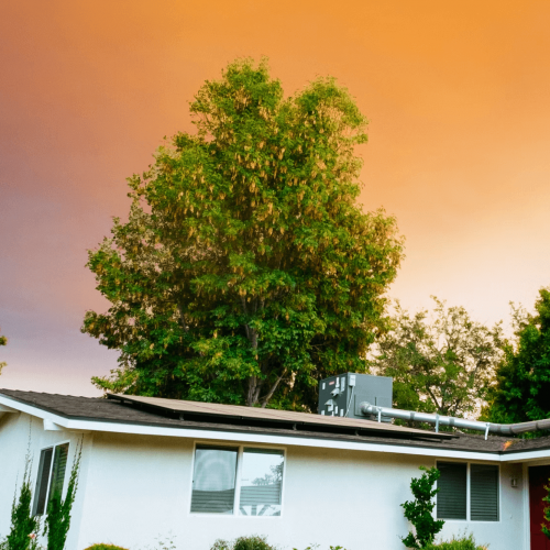 Can Residential Homeowners Take Their Solar Panels When They Move?