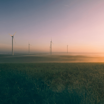 what to know before going solar