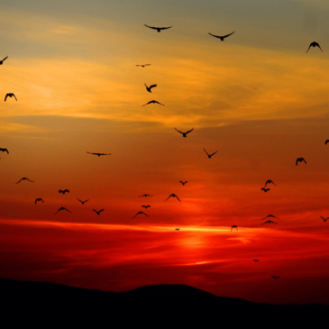 2026 cost of residential solar