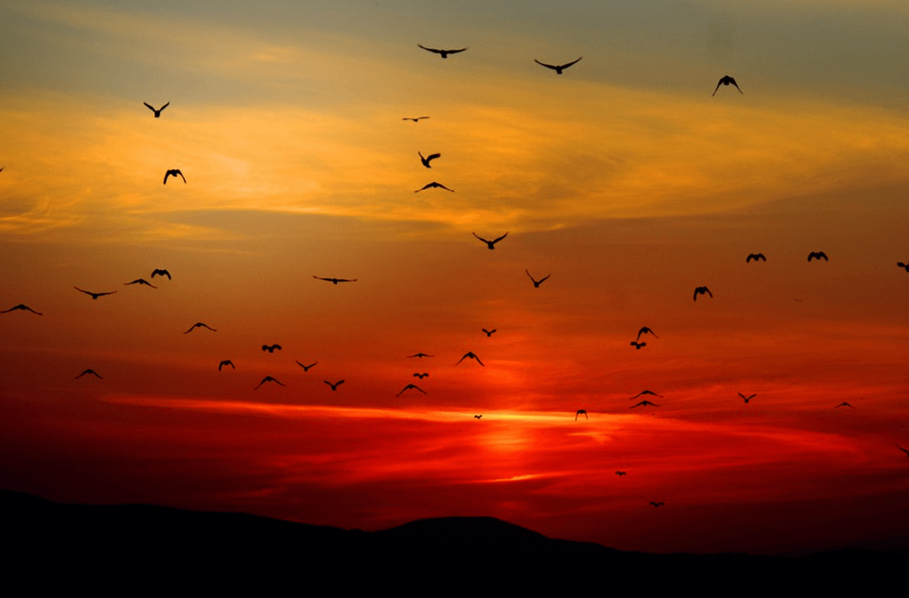 2026 cost of residential solar